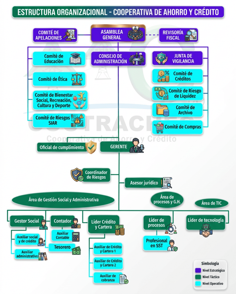 organigrama 2026 cootrachec