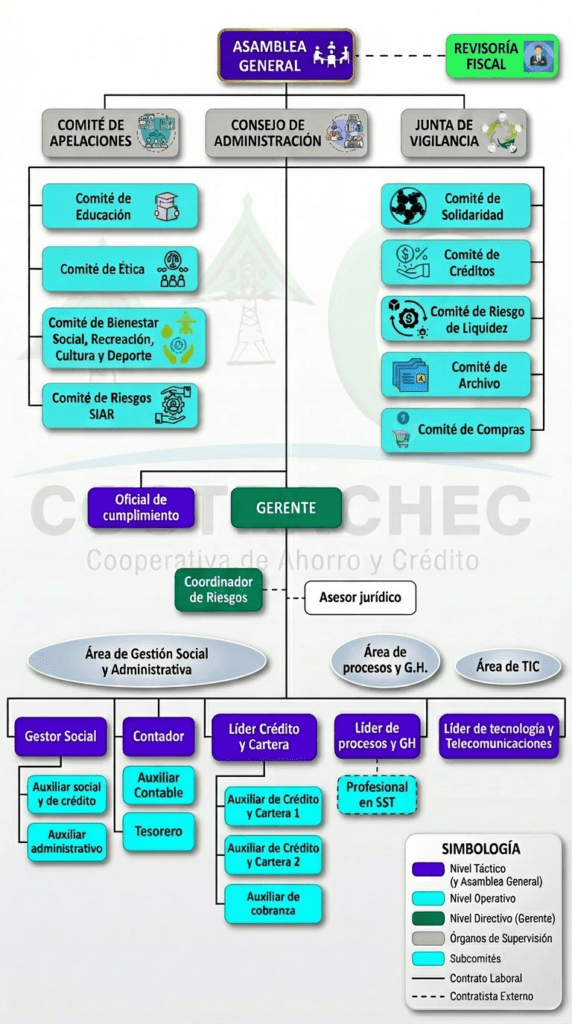 organigrama cootrachec 2026